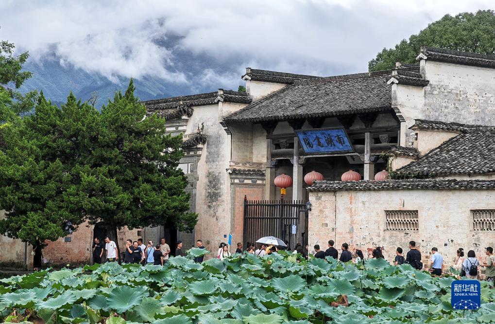 拉菲1娱乐登录